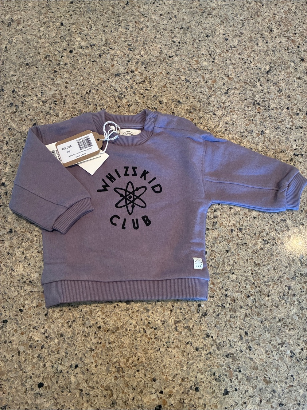 6m Sproet & Sprout 🌱 Purple Sweatshirt